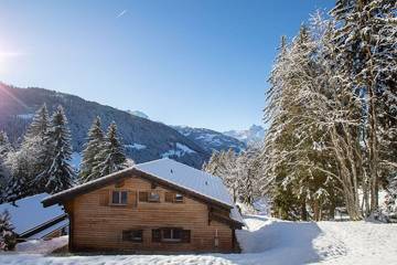 Chalet für 8 Personen in Gryon, Alpes Vaudoises, Bild 3