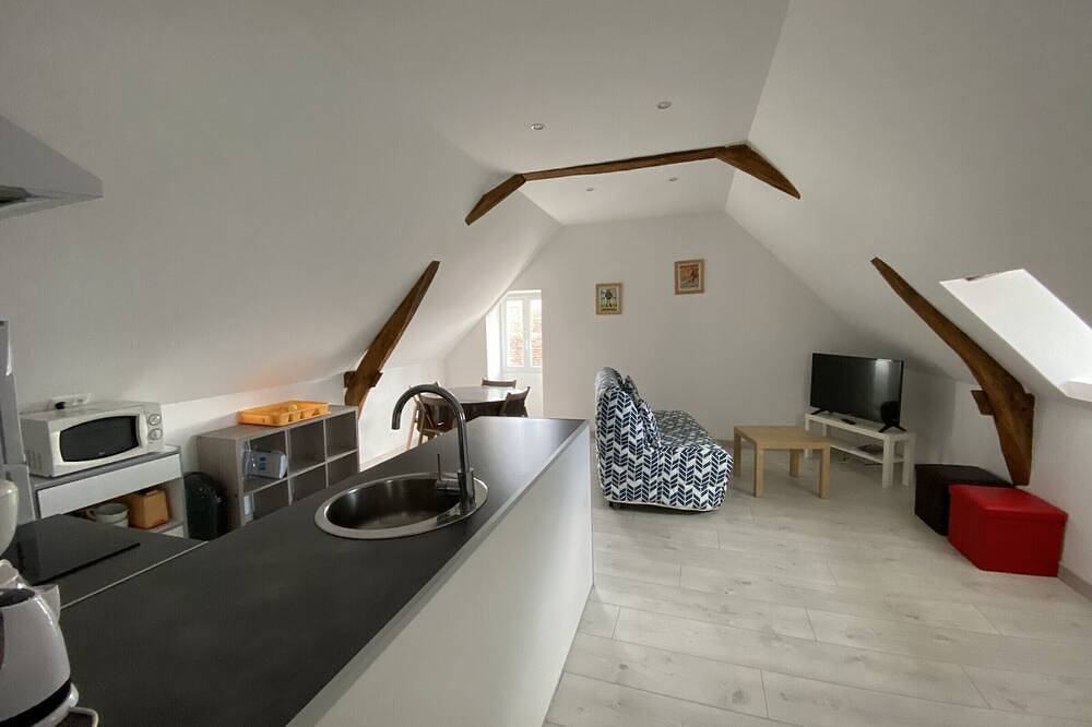 Ganze Wohnung, Appartement près des Thermes avec Cuisine Équipée, Lave-Vaisselle et Couchage pour 4 - Animaux Non Admis in La Roche-Posay, Vienne