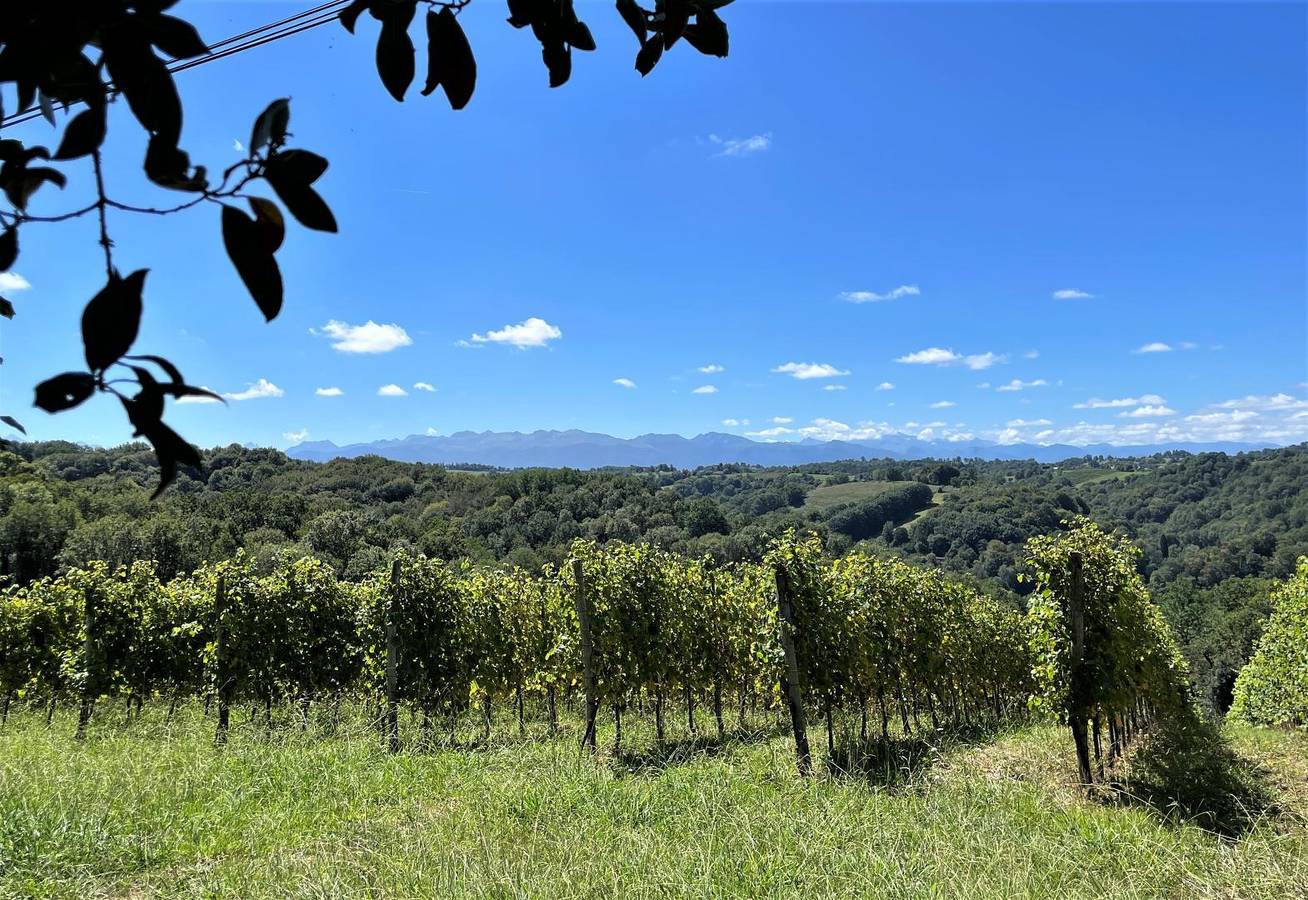 Lacoste in Laroin, Béarn