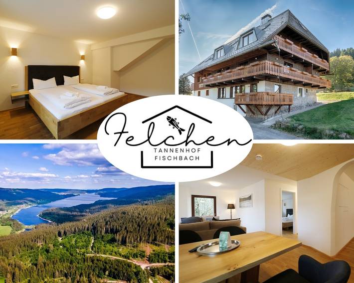 Ferienwohnung für 4 Personen, mit Balkon und Garten, kinderfreundlich in Suedlicher Schwarzwald