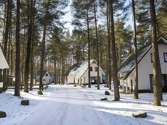 Ferienpark für 4 Personen, mit Terrasse und Pool sowie Sauna und Garten, kinderfreundlich in Mecklenburgische Seenplatte - 2