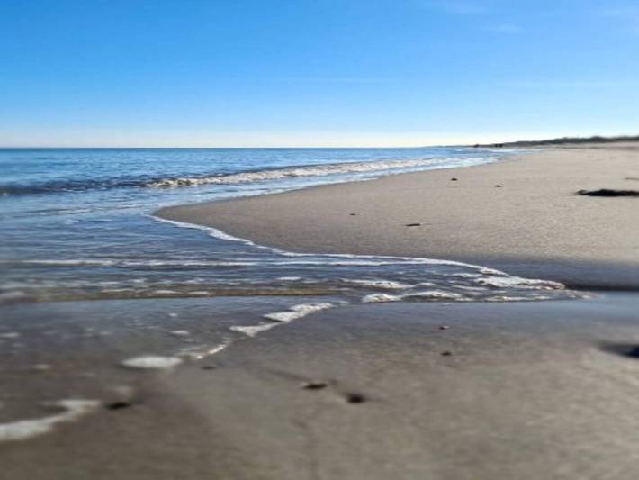 Ferienhaus für 5 Personen, mit Terrasse, mit Haustier auf Fünen - 3