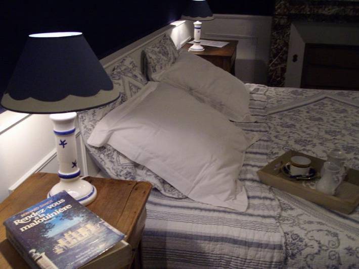 Chambre d’hôte pour 4 personnes, avec jacuzzi et sauna ainsi que jardin et piscine, animaux acceptés en Ille-et-Vilaine - 4