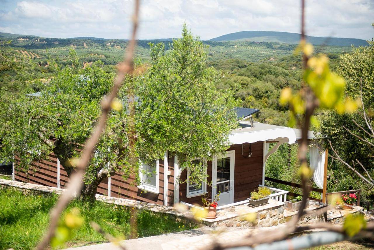 Hakuna Matata Holidays wooden lodge with airco & pool in Greek Olive Grove in Messenia