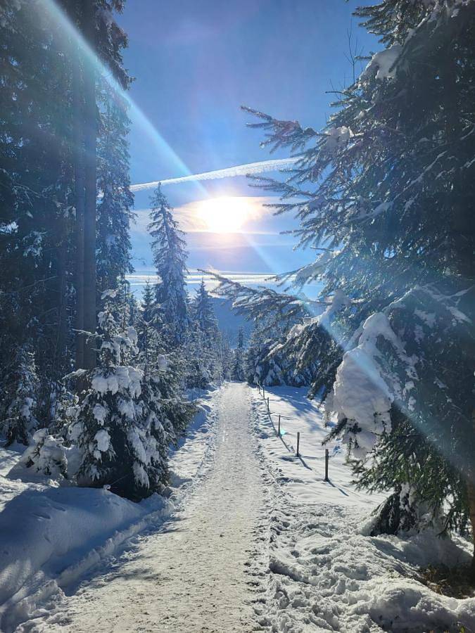 BnB für 2 Personen, mit Ausblick und Garten im Brixental - 4