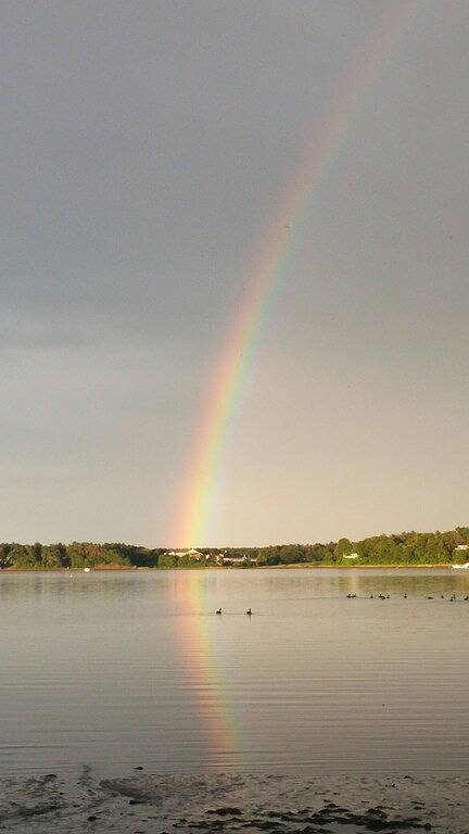 Holiday rental for 6 people, with garden in Wareham