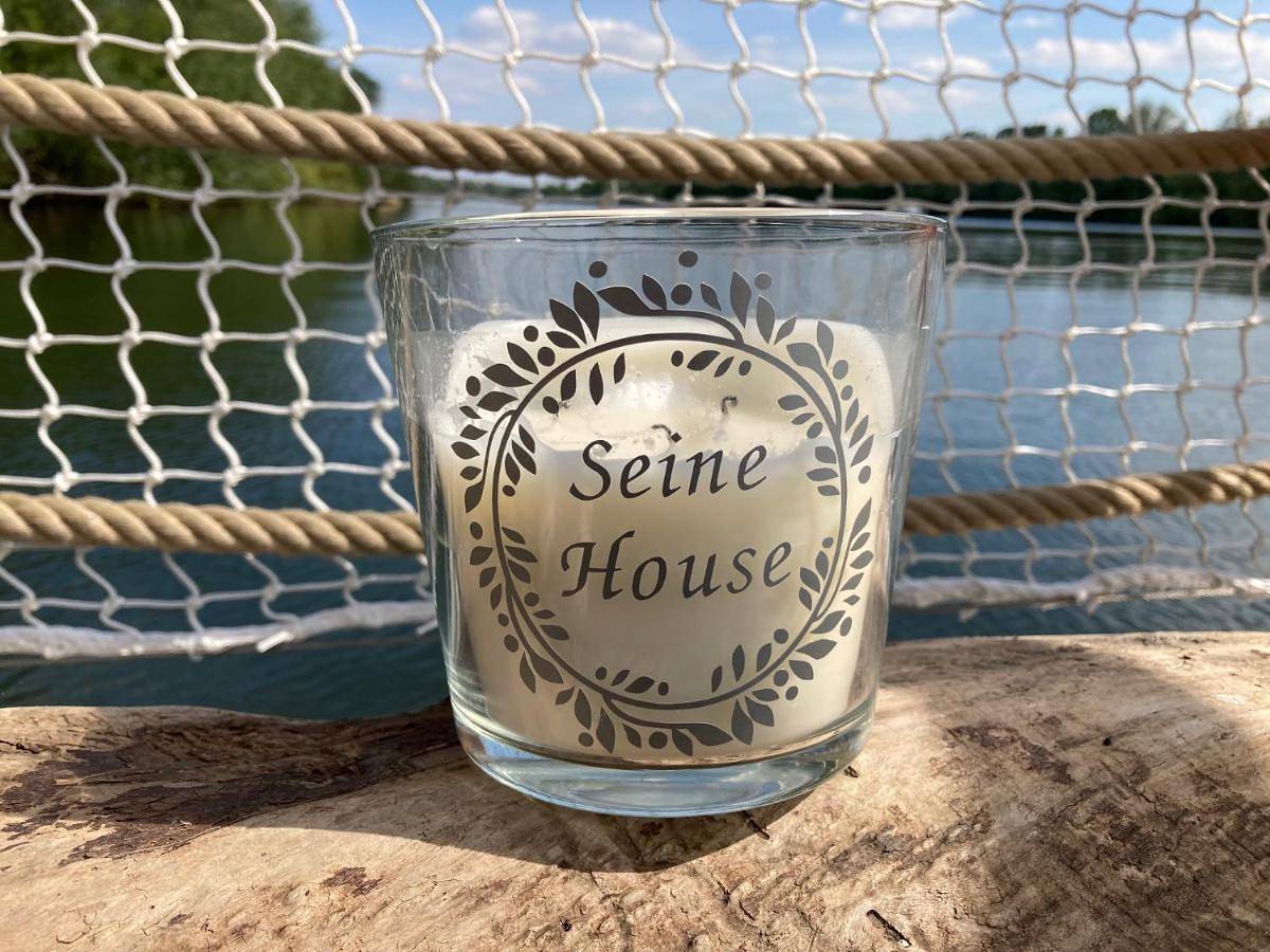 Seinehouse - Maison flottante (Houseboat) - Séjour magique sur l'eau in Vaux-sur-Seine, Yvelines