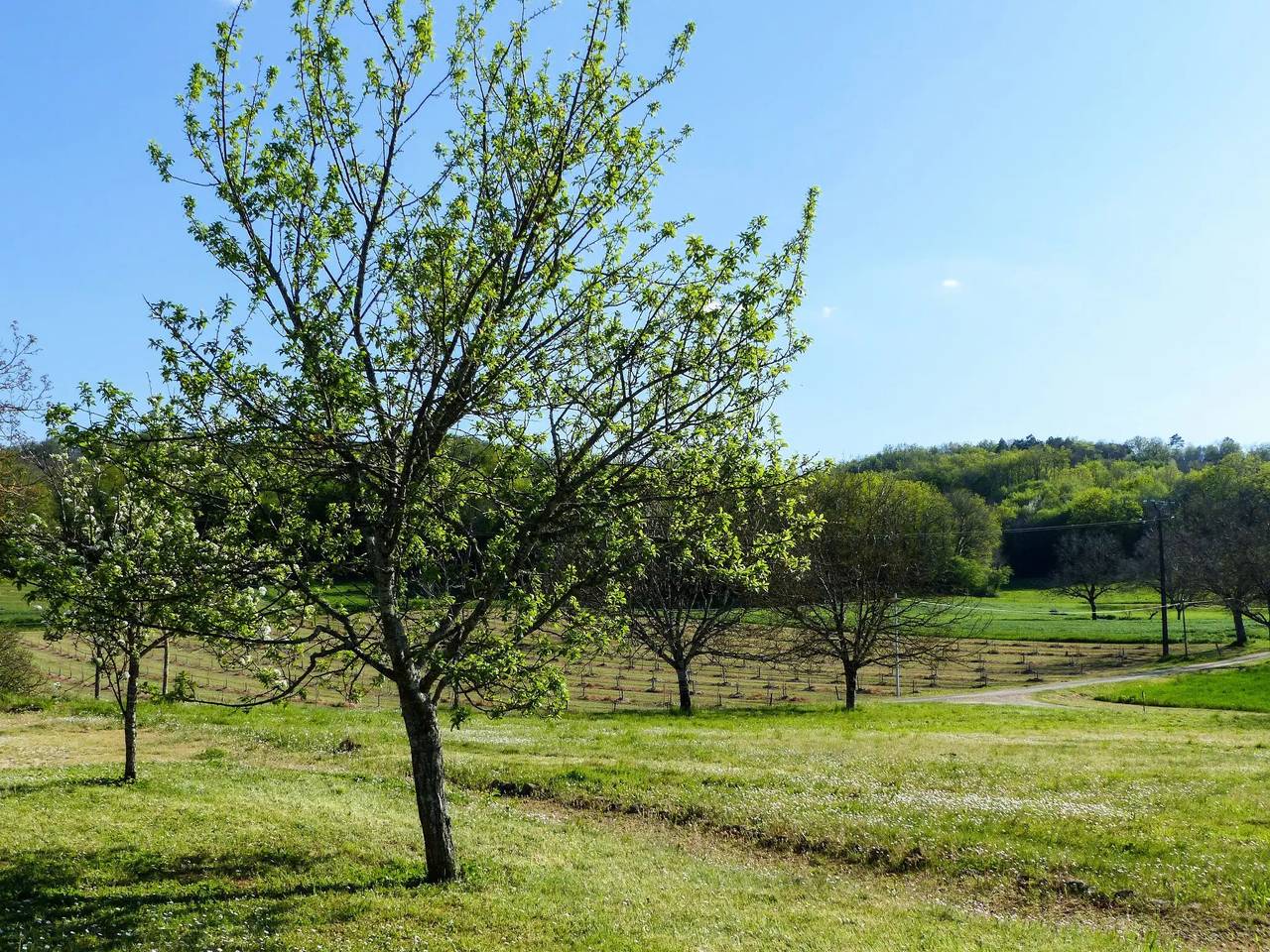 Maison 7 Personnes in Sainte-Mondane, Quercy