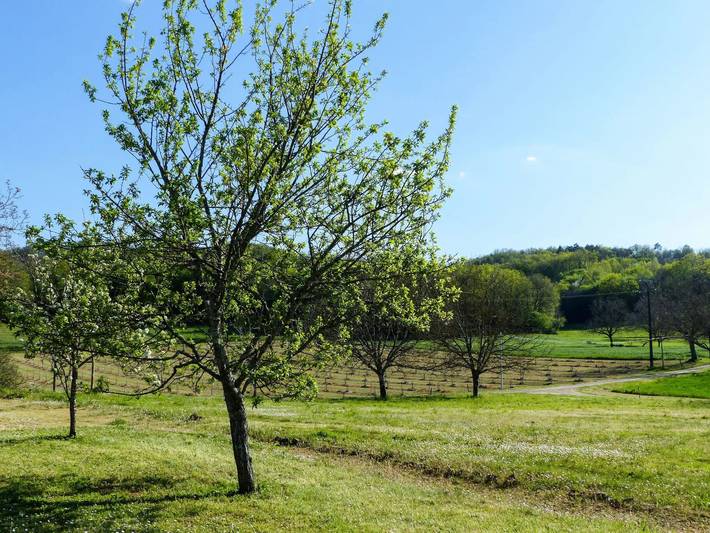 Maison 7 Personnes in Sainte-Mondane, Quercy