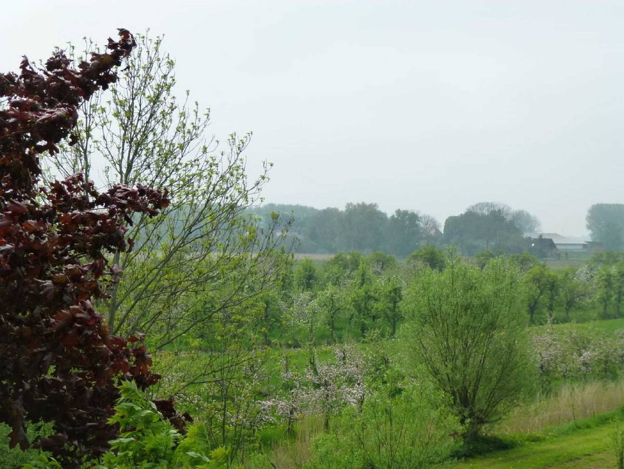 Ganze Ferienwohnung, Ferienwohnung Fernsicht - Fernsicht in Krautsand, Drochtersen