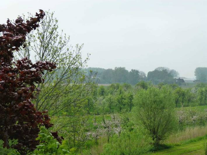 Ferienwohnung für 3 Personen, mit Garten und Ausblick in Drochtersen - 4