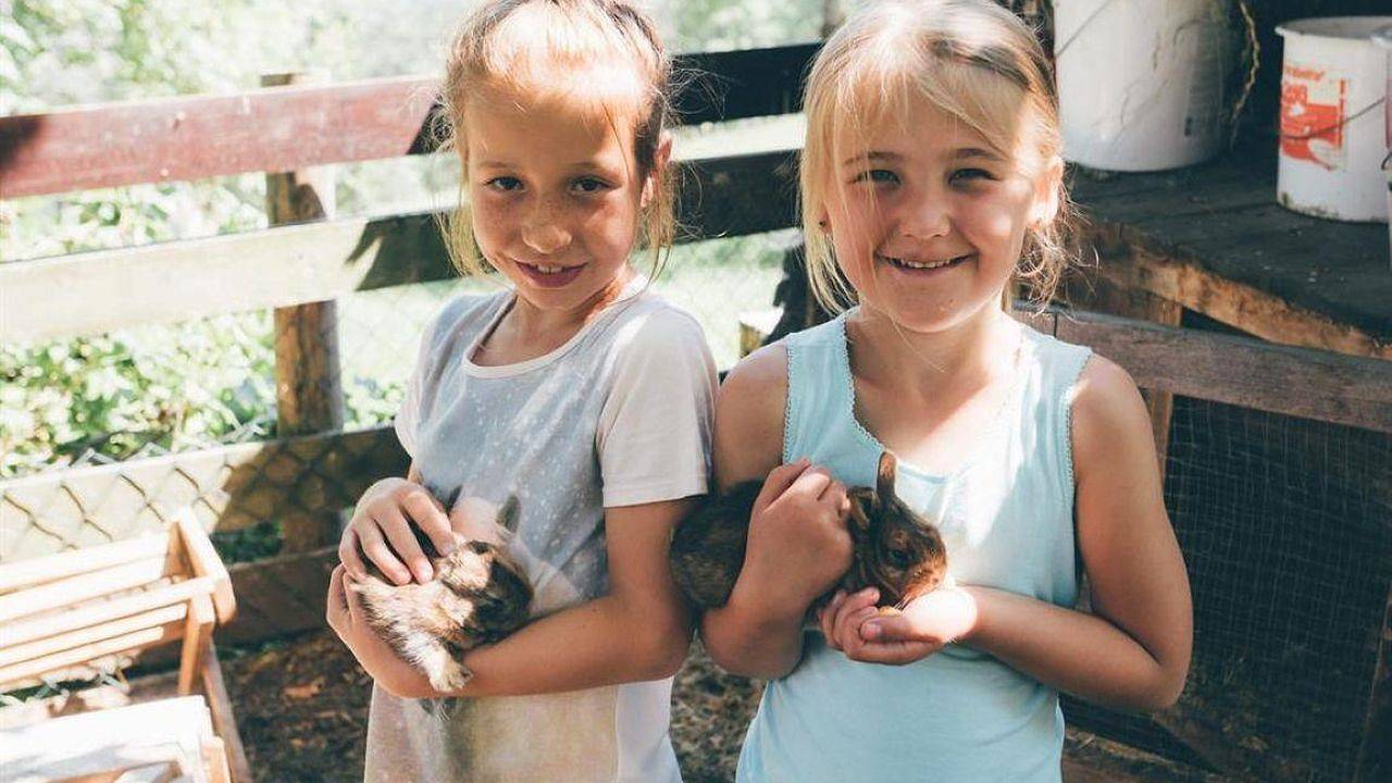 Ferienhaus für 4 Personen in Deutsch-Griffen in Deutsch-Griffen, Mittelkärnten