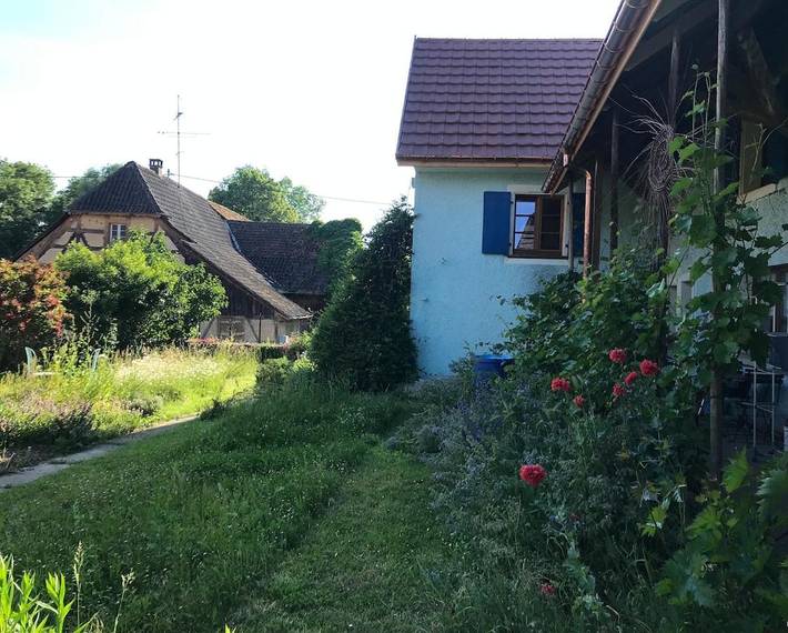 Location de vacances pour 4 personnes à Oltingue - 3