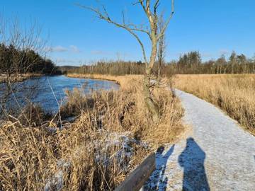 Ferienhaus für 4 Personen in Silkeborg, Bild 4