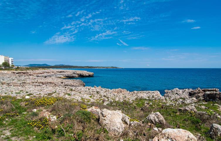 Ganze Ferienwohnung, Meerblick-Apartment mit Terrasse, Küche, WiFi | 900m zum Strand in S'Illot Cala Morlanda, Manacor