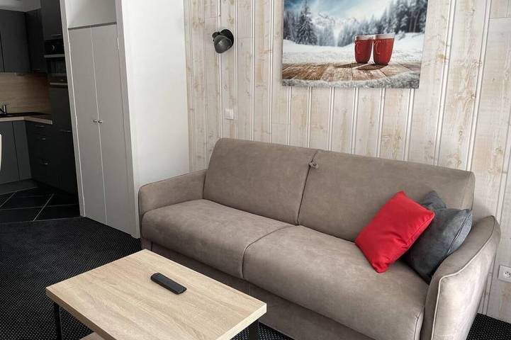 Entire apartment, 150m from ski slopes, 2nd floor, view ski slopes, swimming pool, terrace, tv, ski locker, 29m² in Gourette, Eaux-Bonnes
