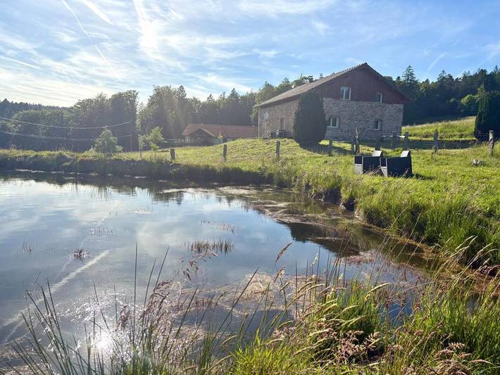 Location de vacances pour 11 personnes, avec Terrasse ainsi que Jardin et Vue à Tendon (Vosges)