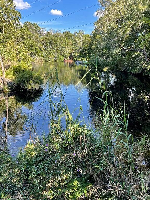 Schnorcheln Sie mit den Seekühen in Ihrem Hinterhof - Kajaks inklusive in Homosassa, Citrus County