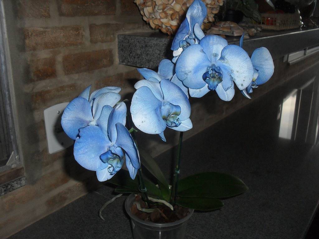 Möbliertes kitnet 200 meter vom strand entfernt in Guriri, São Mateus