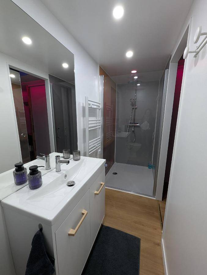 Appartement entier, Le Loft - Résidence Chez Gally à Angers in Les Ponts-de-Cé, Région d'Angers