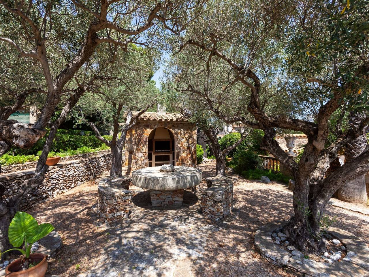Les Oliveres in Llanca, Oberampurien