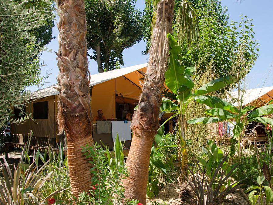 Camping l'Oasis Palavasienne - Tienda de lona y madera 5 personas - Cabaña de lona Victoria - 30 m² - Francia in Lattes, Côte d'Améthyste