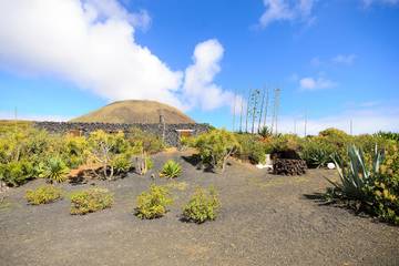 Agriturismo voor 4 Personen in Haría, Lanzarote, Afbeelding 2
