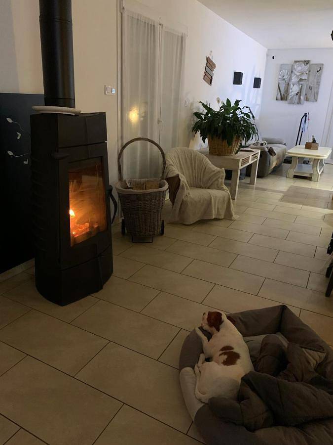 Gîte pour 7 personnes, avec jardin ainsi que piscine et vue, animaux acceptés à Éloyes - 4