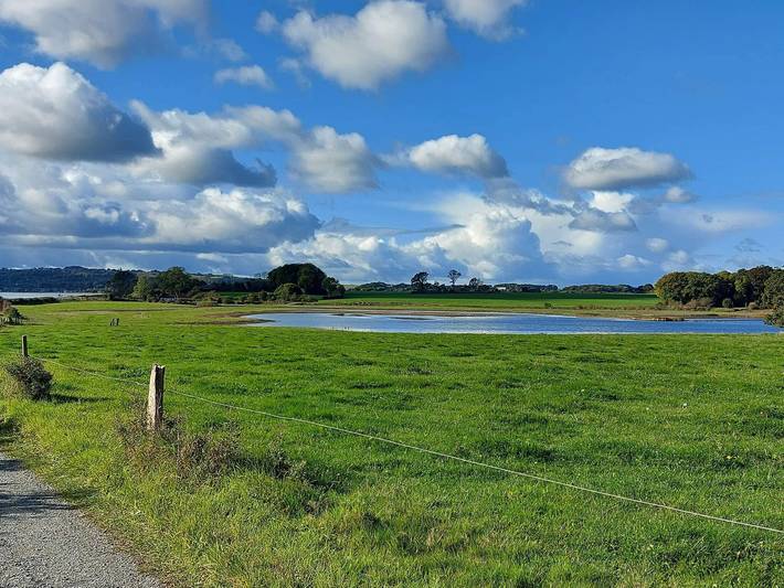 Ferienhaus für 6 Personen, mit Terrasse, mit Haustier in Kleiner Belt - 2