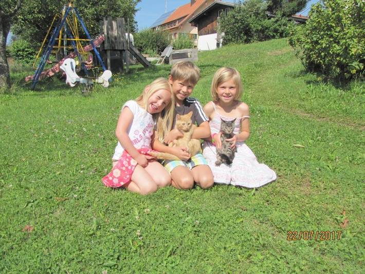 Ferienwohnung für 3 Personen, mit Garten in Scheidegg - 2