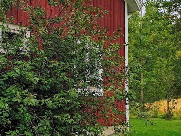 Ferienhaus für 4 Personen, mit Garten, kinderfreundlich in Nordschweden - 4