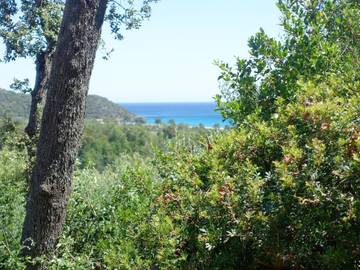 Ferienhaus für 2 Personen in Zonza, Corse-du-Sud, Bild 2