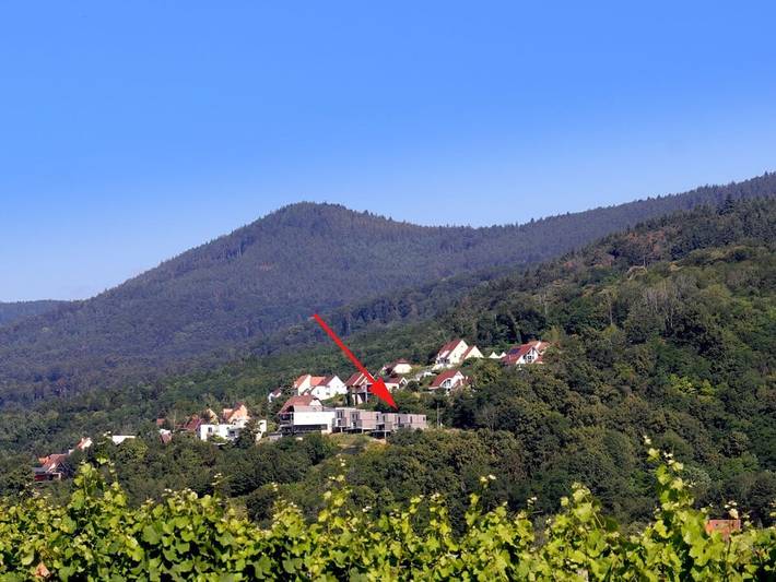 Panorama d'Alsace in Barr, Région de Sélestat-Erstein