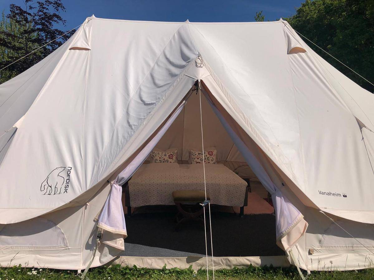 Tent - Hyacint in Vordingborg und Umgebung