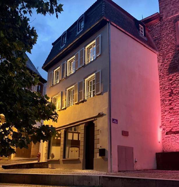 Gîte pour 2 personnes, avec vue à Barr - 4