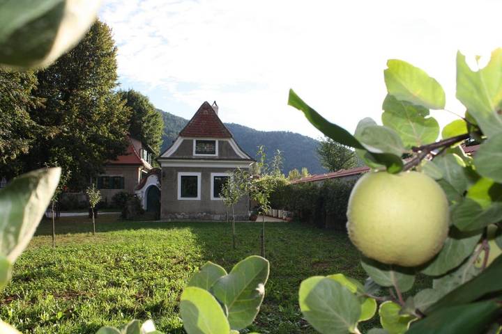 Ferienwohnung für 4 Personen, mit Terrasse und Ausblick in Dürnstein