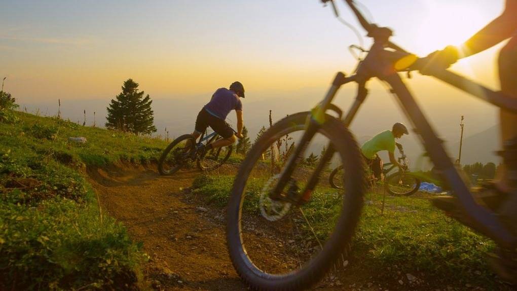 Chalet Berggrün Willingen - Nähe Skywalk in Willingen, die Mittelgebirge