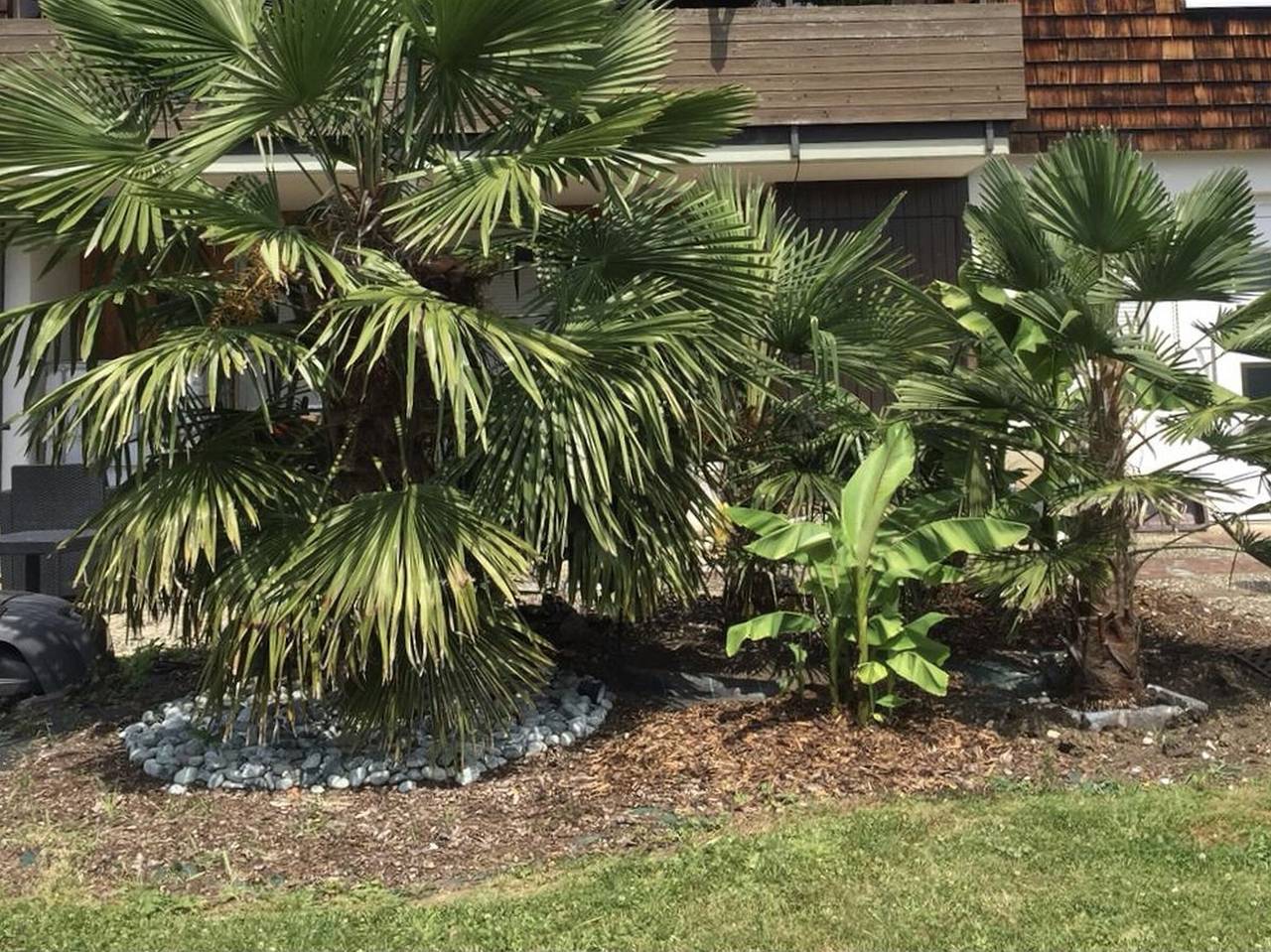 Geheel appartement, Vakantiewoning Palmengarten, 42 m², 1 woon-/slaapkamer, max. 2 pers., 4 sterren - Dtv gecertificeerd in Lichtenstein, Neckar-Alb