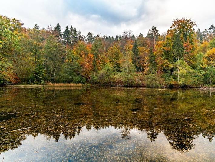Ferienhaus für 2 Personen, mit Terrasse und Garten in Schiefling am See - 4