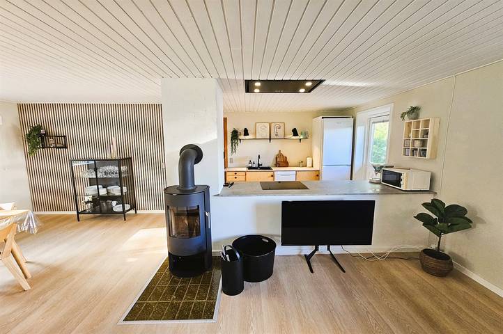 Ferienhaus für 5 Personen, mit Terrasse, mit Haustier in Skaven Strand - 2