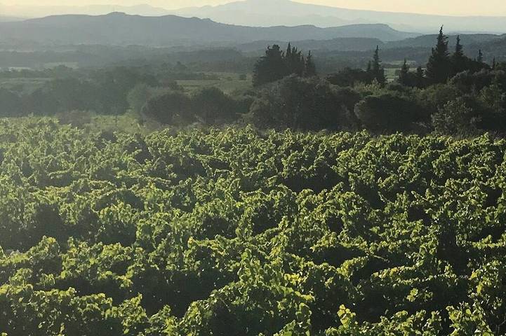 Location de vacances pour 16 personnes, avec Jardin à Saint-André-d'Olérargues