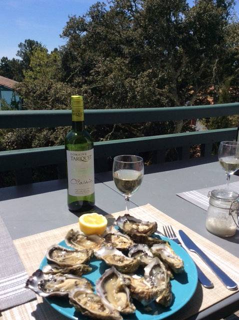 Gîte pour 4 personnes, avec balcon et jardin à Arcachon - 2