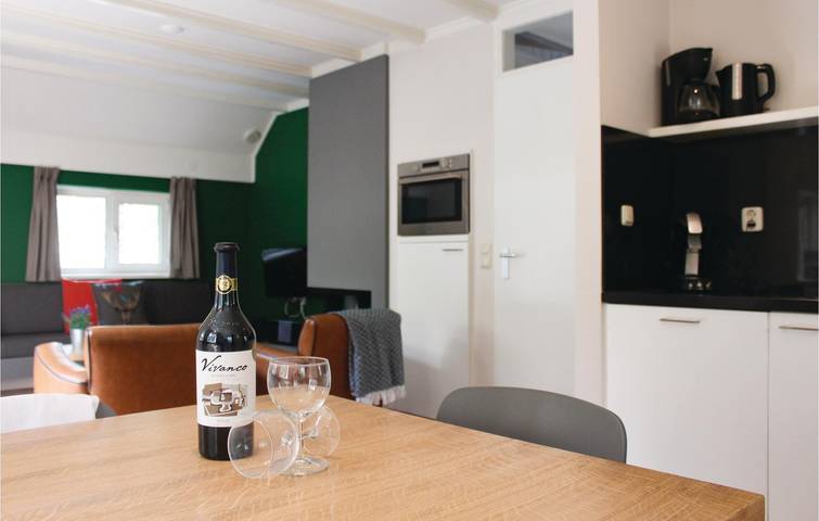 Ferienhaus für 6 Personen, mit Terrasse und Garten sowie Whirlpool, mit Haustier in Overijssel - 4