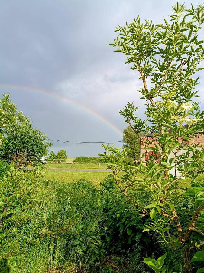 Ferienwohnung für 5 Personen, mit Garten und Sauna sowie Seeblick und Ausblick in Behren-Lübchin - 4