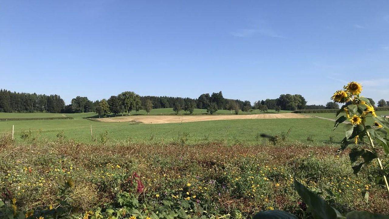 Ganze Ferienwohnung, Ferienwohnung für 7 Personen (117 m²) in Bad Wurzach in Bad Wurzach, Württembergisches Allgäu