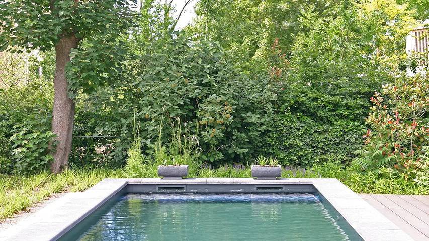 Ferienwohnung für 2 Personen, mit Pool und Garten, mit Haustier in Noordwijk - 3