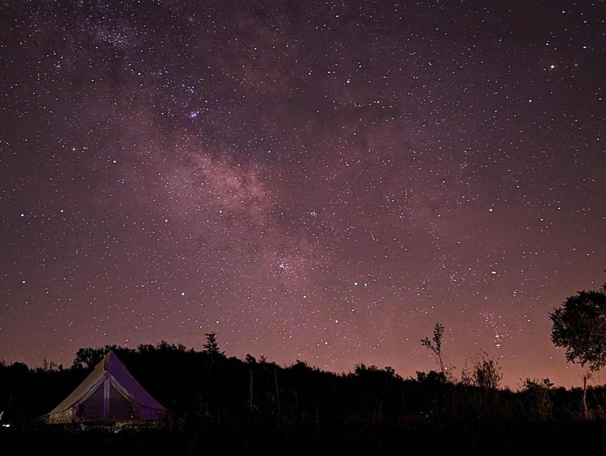 Lost Paradise - Cozy tent in Nature in Saboia, Alentejo Litoral