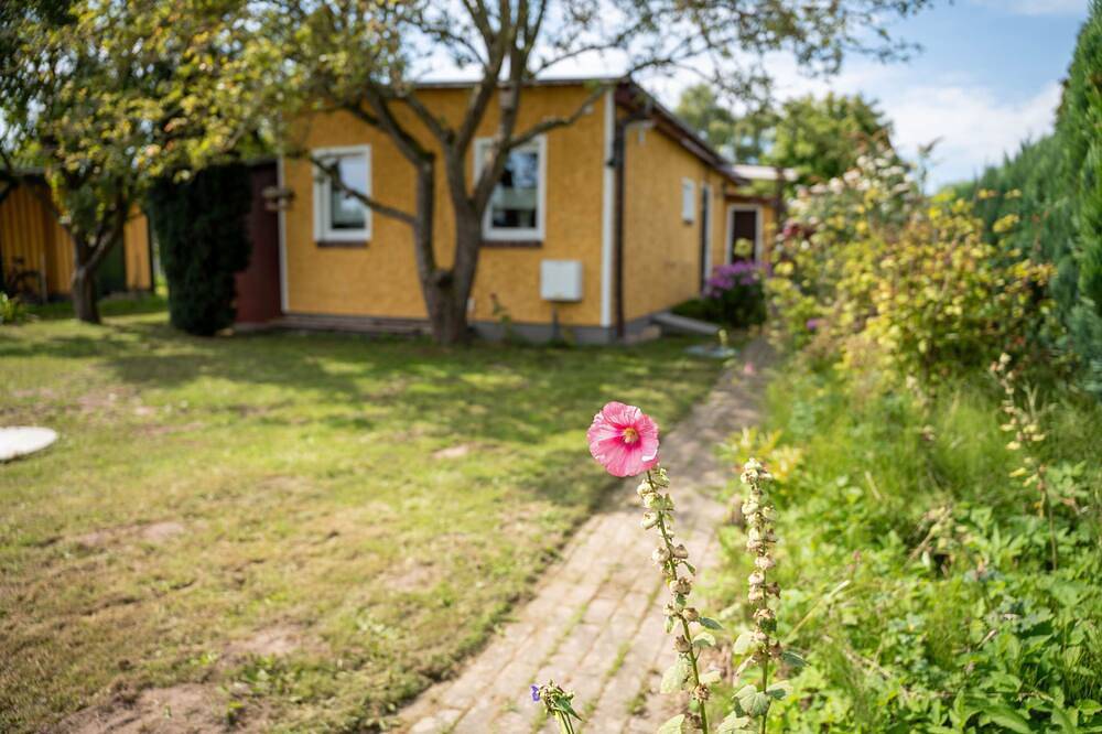 Bungalow Appelboom - Bungalow 417 in Neeberg, Krummin
