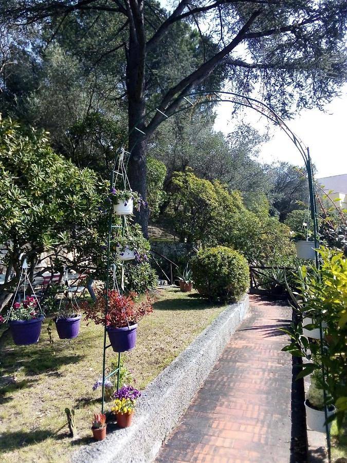 La Camera Tra Gli Ulivi Dream Finale in Finale Ligure, Commune de Finale Ligure