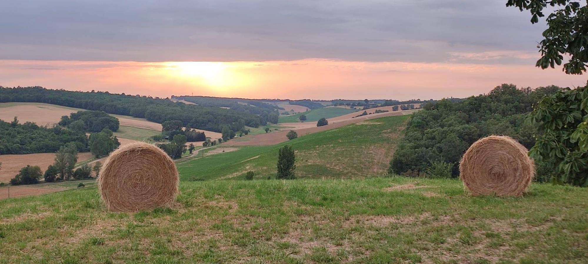 Gîte les Hauts de Grazac in Grazac (Tarn), Région d'Albi